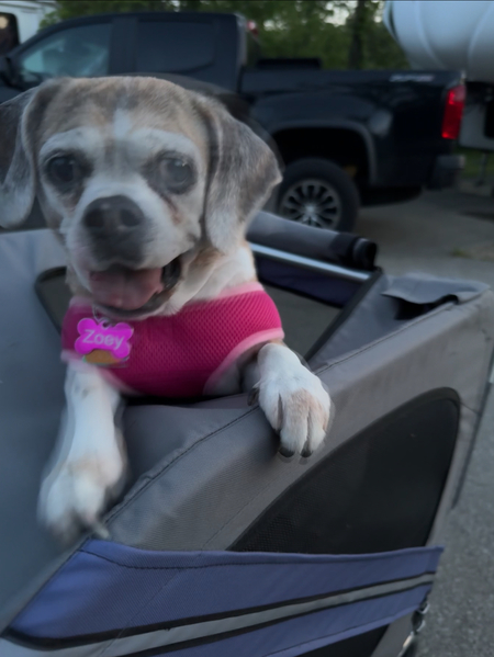 Zoey