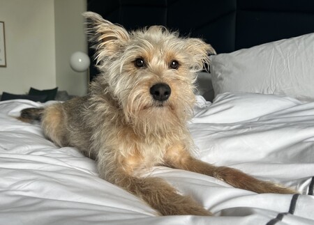 Millie