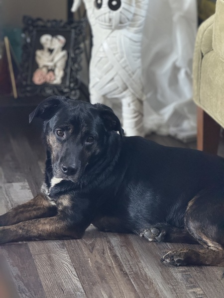 Winnie