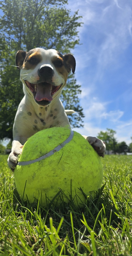Oliver