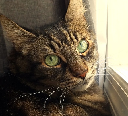 Marley