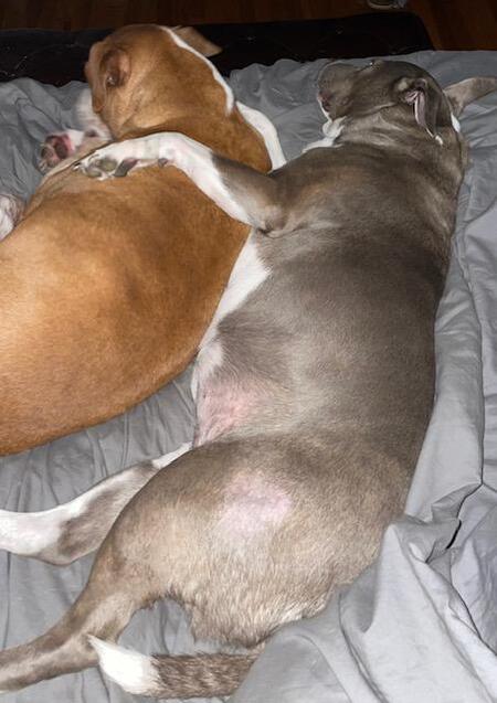 Easton & Ivy