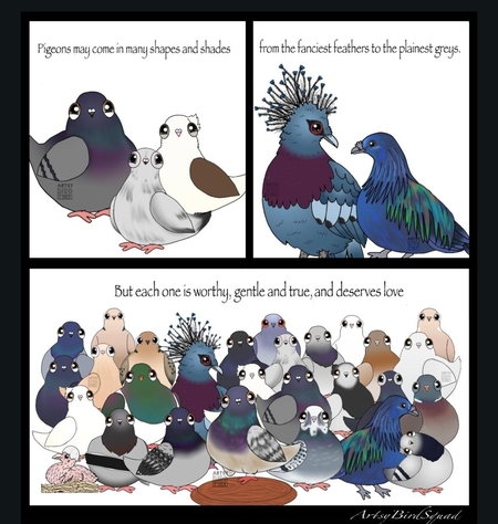 Pigeon Love!