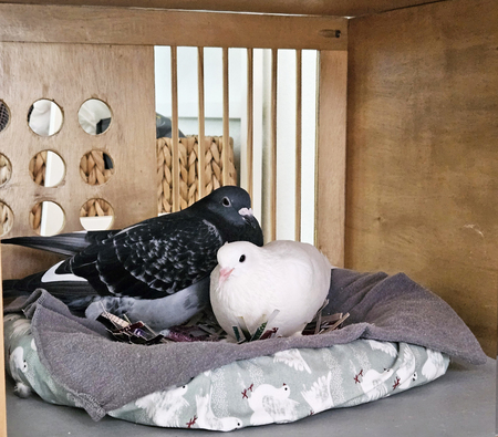 Nanda and Clementine