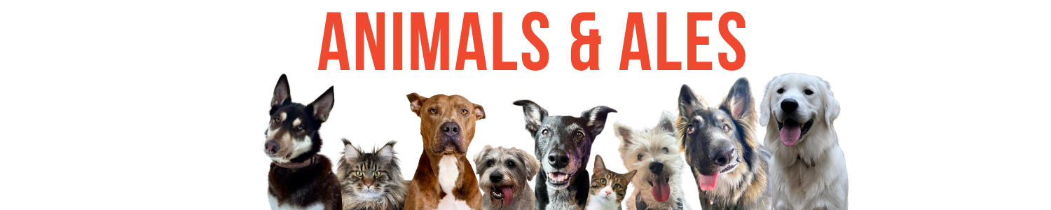 Banner for VWB Animals & Ales