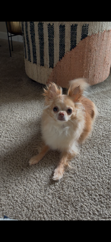 Zoe 