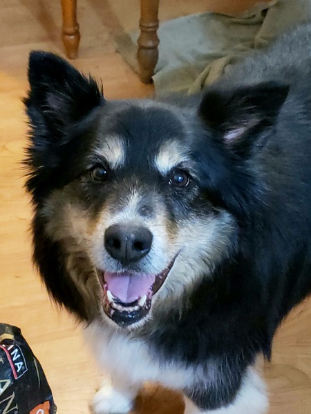 Mitzi