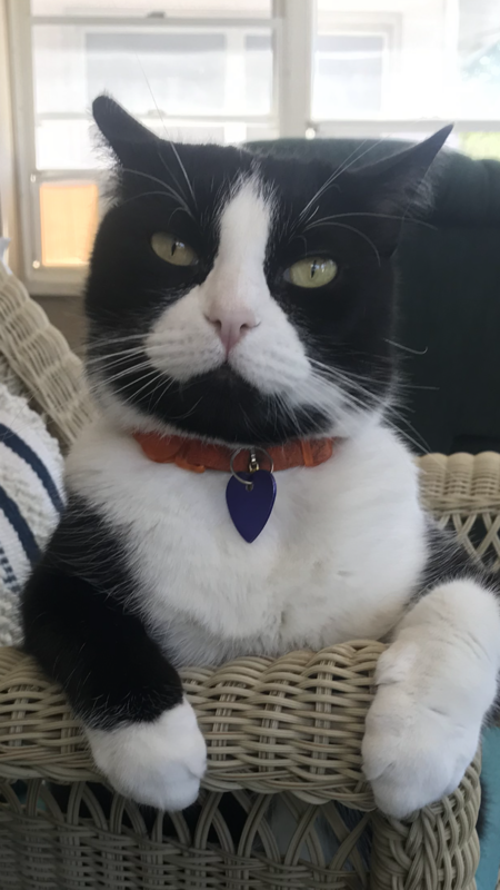 Oreo