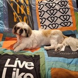 Entry image for Mad Dog Madeline Marie Magoo