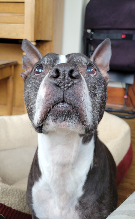 Wally