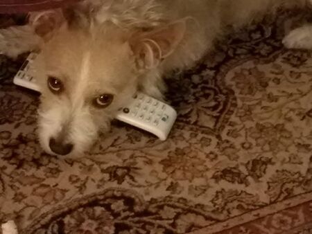 MAXIE 
