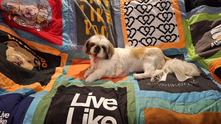 Entry image for Mad Dog Madeline Marie Magoo. Clicking this image will show a larger photo