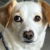 Entry image for Tino