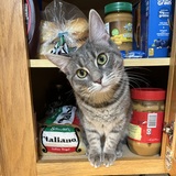Entry image for Gracie Mae