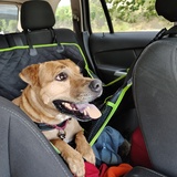 Entry image for Sampson