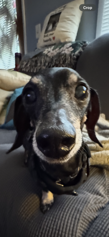 Reggie