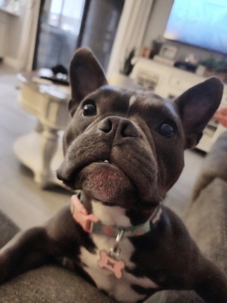 Luna