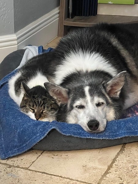 Parker and Maya