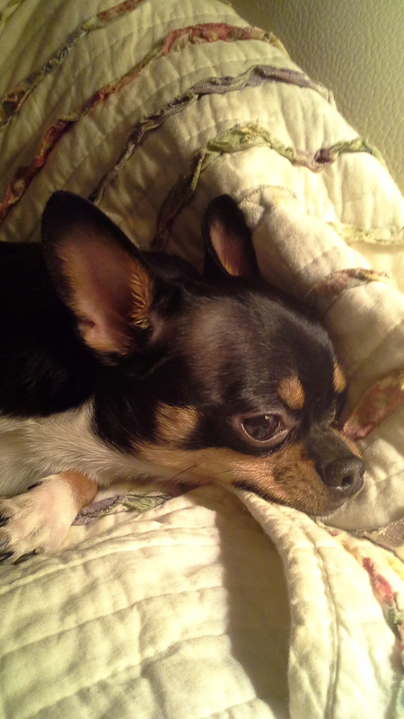 Bugsy