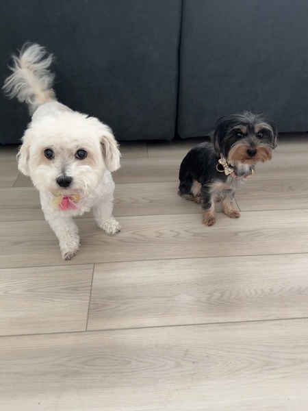 Jade and jazzy 