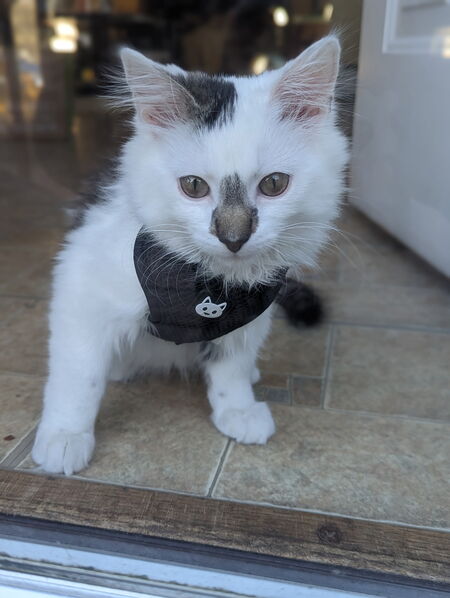 Oskar