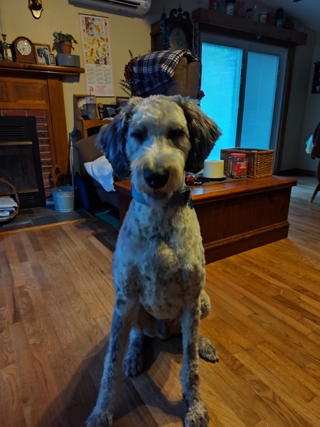 Curley Jack