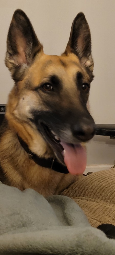 Freyja