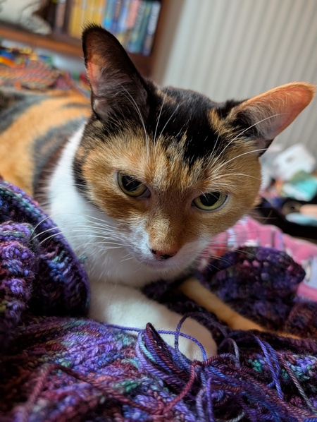 Kali