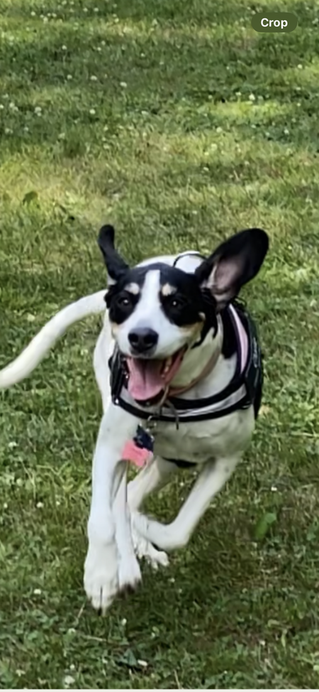 Charlie