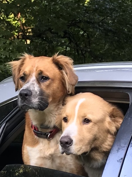 Freckles and Bella