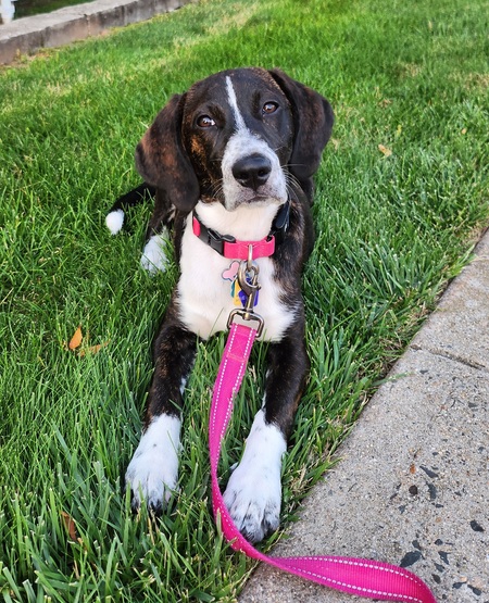 Winnie