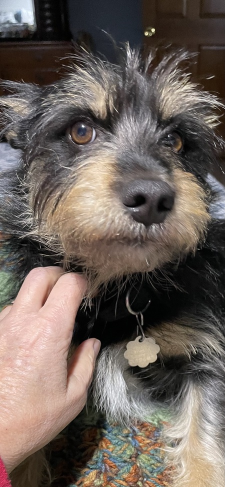 Franklin D Roosevelt (“Frank”)