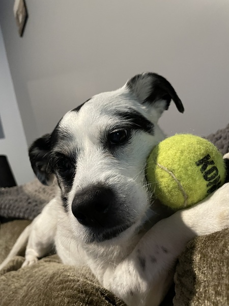 Bella