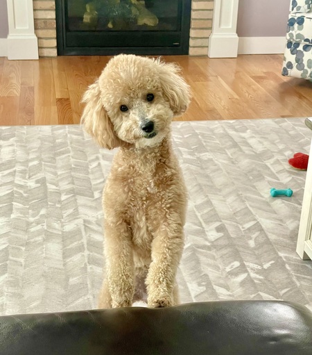 Tina 