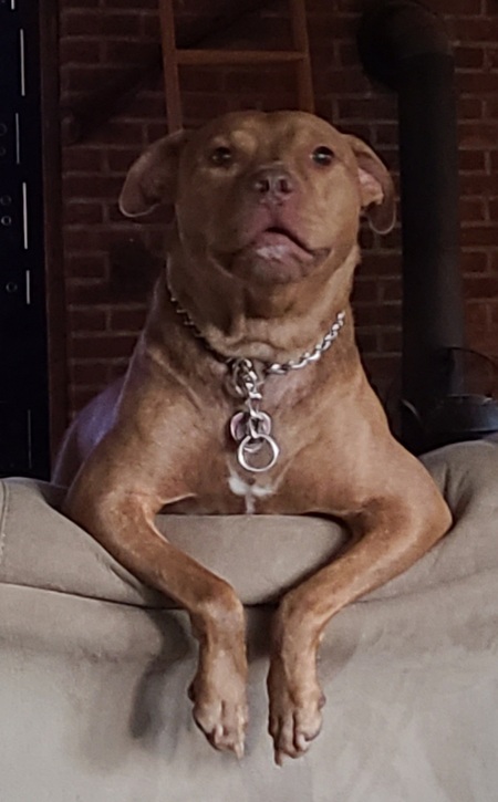 Griff