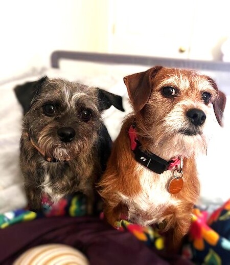 Mr. Bean and Fiona