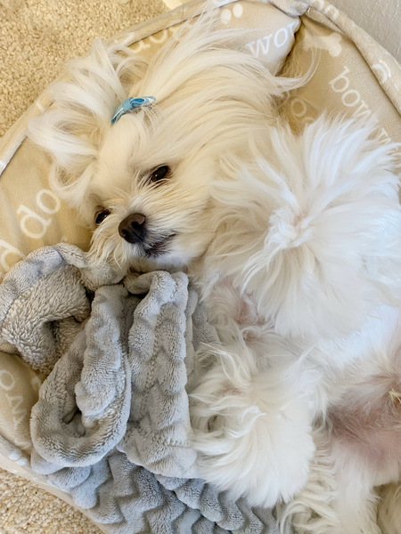 Charlie
