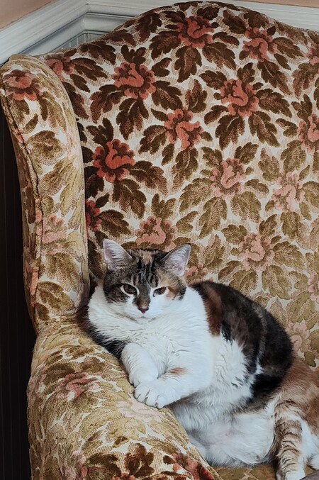 Emmie