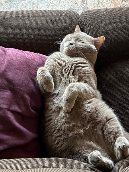 Leo