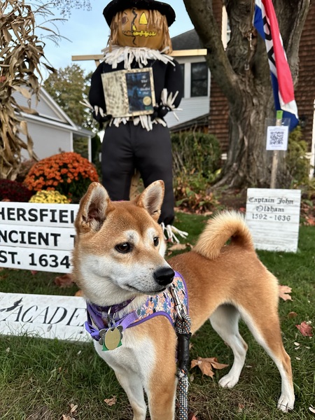 Kya
