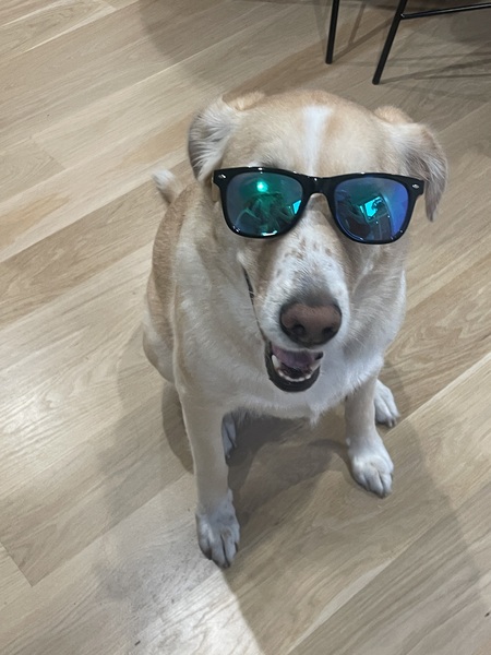 Kona