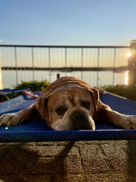 Rudy