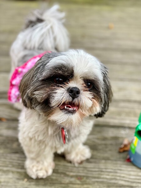 Gracie Zackin-O'Neil