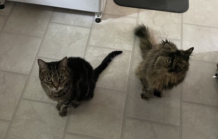 Romey and Ruby
