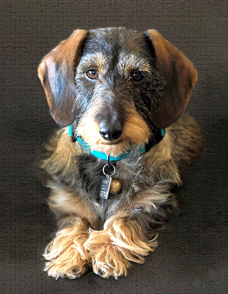 Rosie