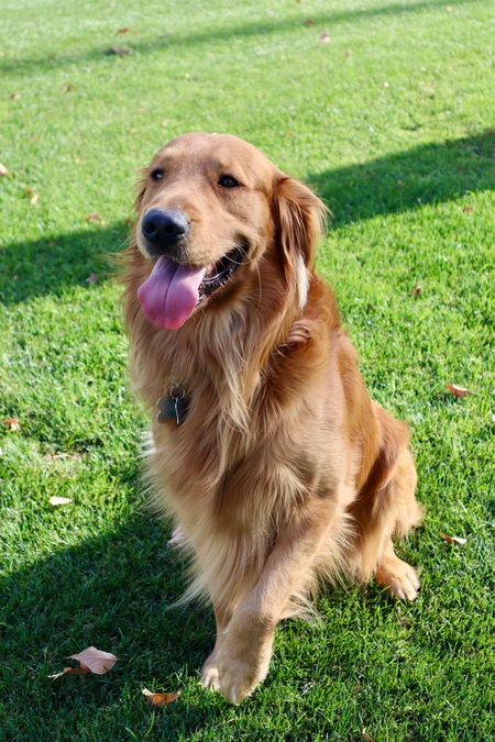 Lenny
