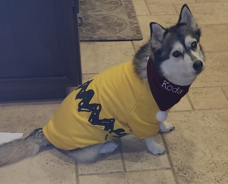 Koda Girl
