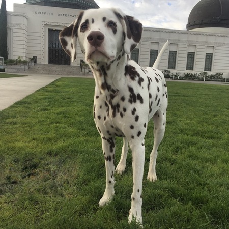 Luna