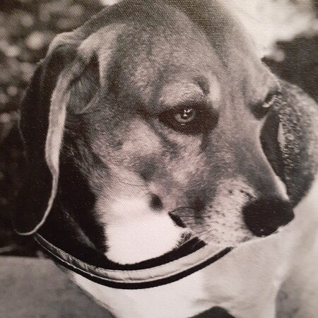 Baxter