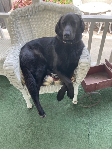 Murphy
